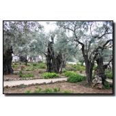 set001-photo24