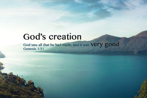 Eco God Made