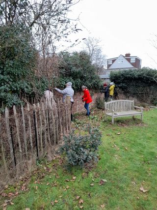 Clearing the ivy 2