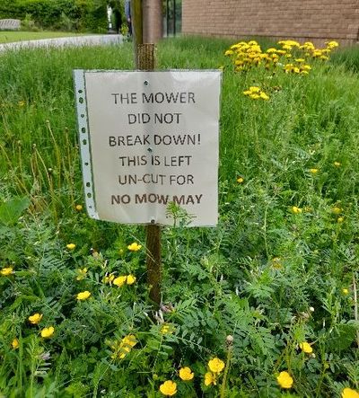 Garden Not Mown