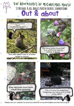 Adventure 33