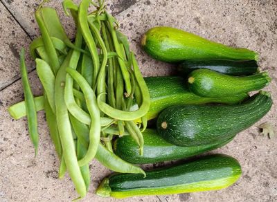 Sustainable Gardening